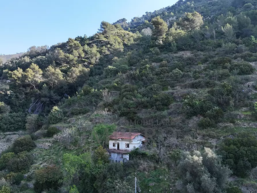 Immagine 9 di Casa indipendente in vendita  in Via Domenico Tempesta 30A a Ventimiglia