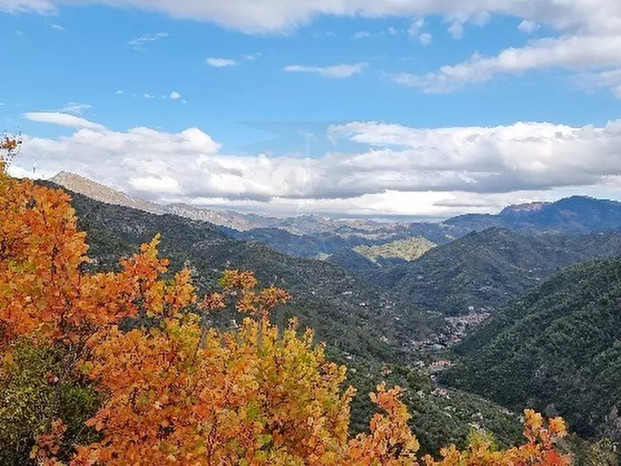 Immagine 19 di Villa in vendita  in Strada Provinciale a Dolceacqua