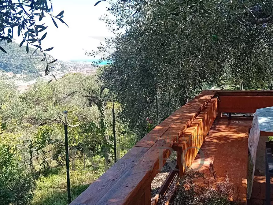 Immagine 3 di Terreno agricolo in vendita  in Via Monsignore Daffra 40 a Ventimiglia