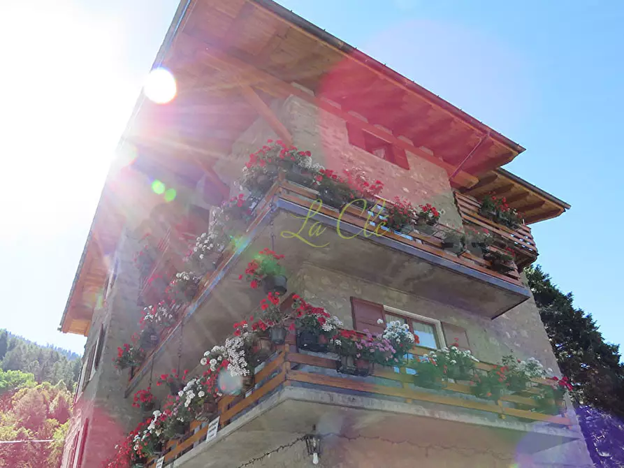 Immagine 28 di Quadrilocale in affitto  in Strada Plan Gorret a Courmayeur