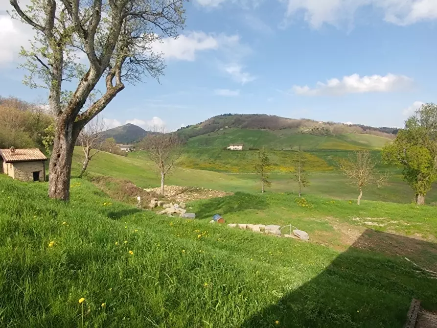 Immagine 27 di Rustico / casale in vendita  in via Canobbi 8 a Castel D'aiano