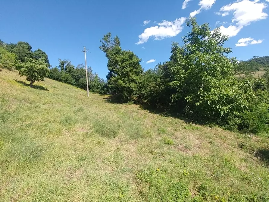 Immagine 52 di Rustico / casale in vendita  in mauro tesi 112 a Zocca