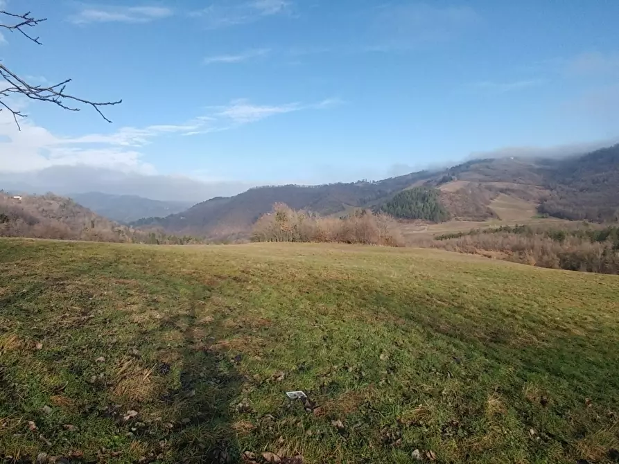 Immagine 35 di Rustico / casale in vendita  in Via della Pace 20 a Valsamoggia