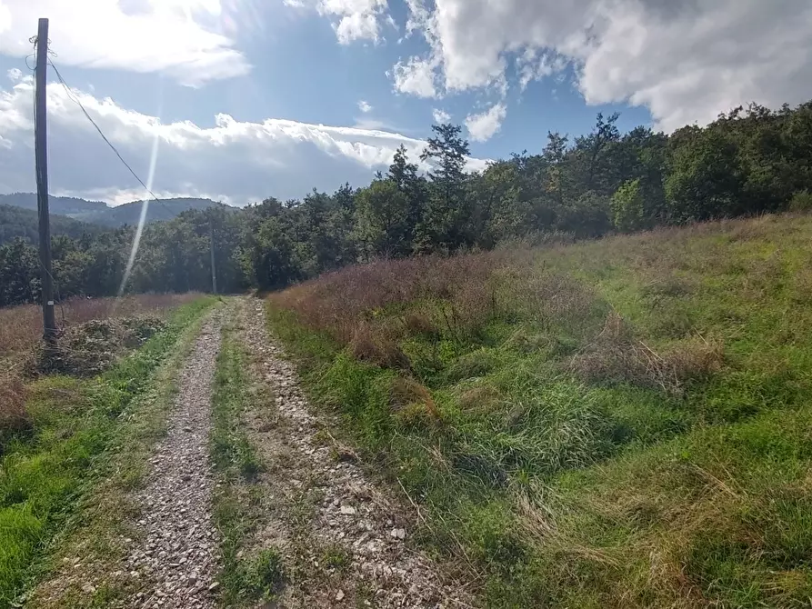 Immagine 42 di Rustico / casale in vendita  in via Selve 3205 a Zocca