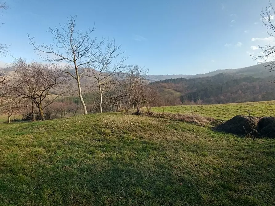 Immagine 32 di Rustico / casale in vendita  in Via della Pace 20 a Valsamoggia