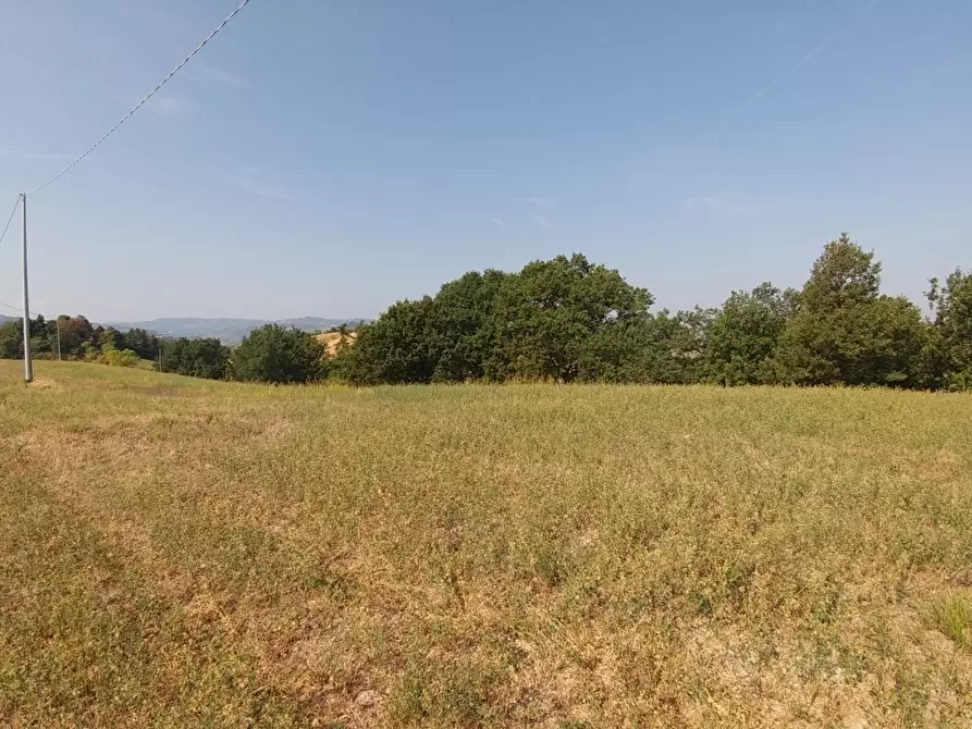 Immagine 28 di Rustico / casale in vendita  in Via Castello 45 a Monte San Pietro