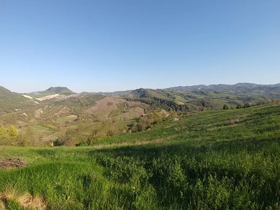 Immagine 3 di Terreno agricolo in vendita  in Via Castello 45 a Monte San Pietro