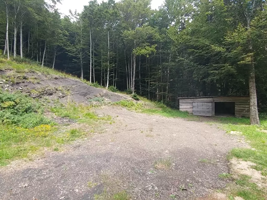 Immagine 38 di Rustico / casale in vendita  in Via Cà Zucchi 1294 a Fanano