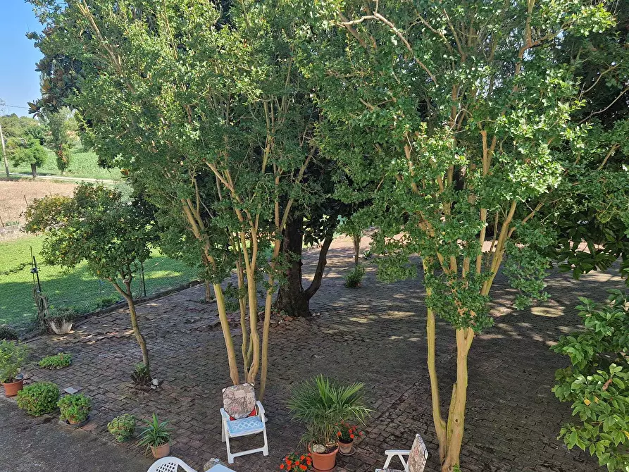 Immagine 7 di Rustico / casale in vendita  a Ceregnano