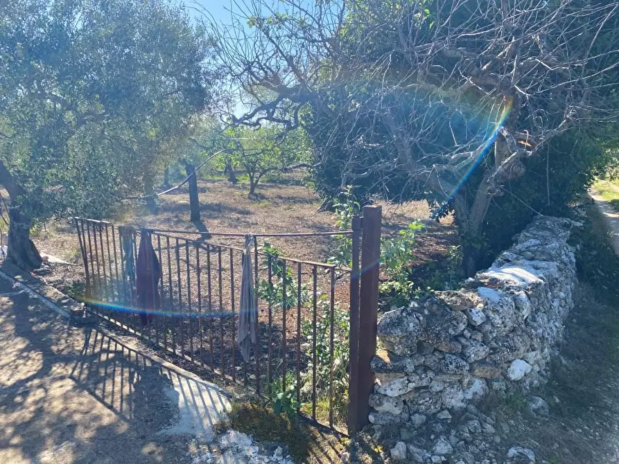 Immagine 7 di Terreno agricolo in vendita  in Via Vicinale Oronzino 5296 a Gioia Del Colle