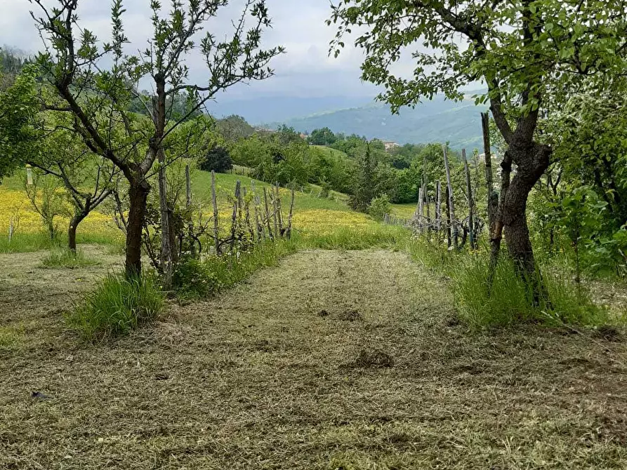 Immagine 6 di Terratetto in vendita  in Via Serra di Sotto 52 a Pennabilli