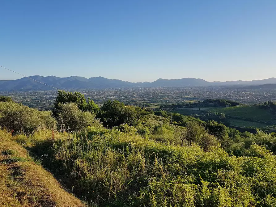 Immagine 13 di Rustico / casale in vendita  in Via di Matraia a Capannori