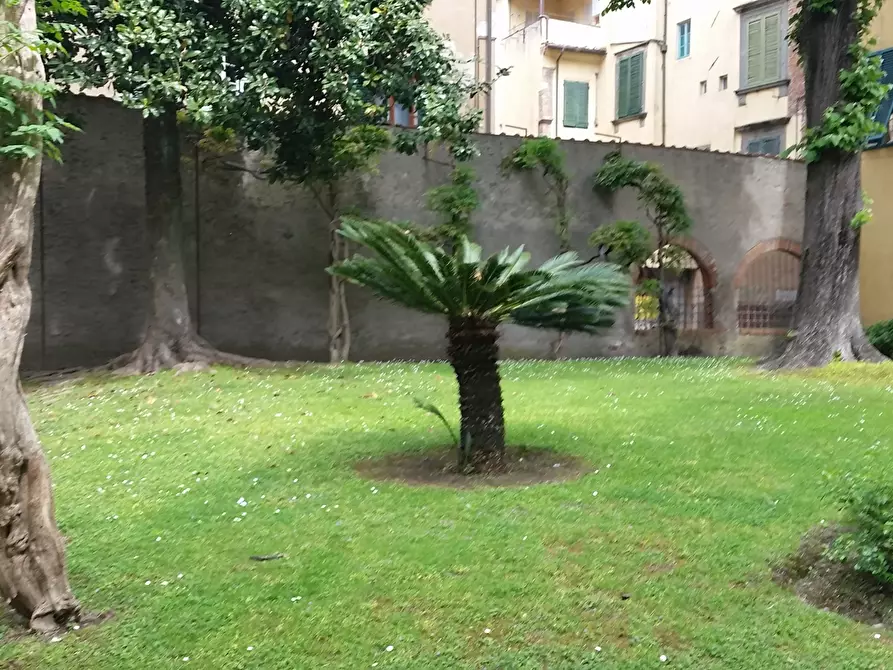 Immagine 6 di Showroom in affitto  in Giarinetto a Lucca