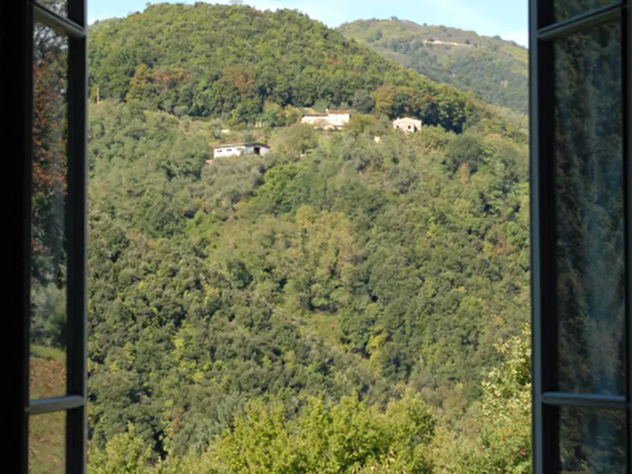 Immagine 51 di Casa vacanze in affitto  in Località Mencone 8 a Pescaglia