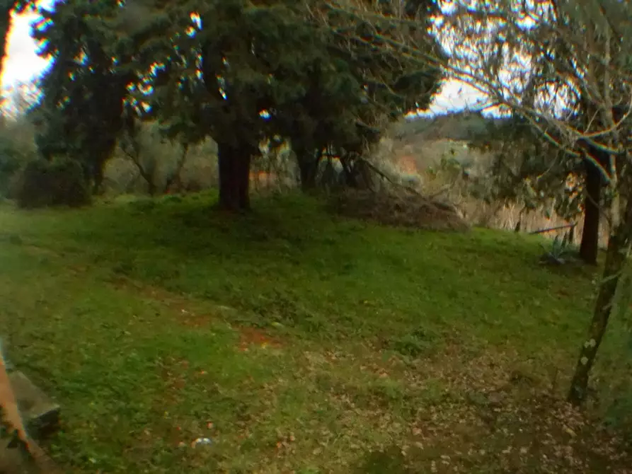 Immagine 6 di Rustico / casale in vendita  in bocconi a Lucca