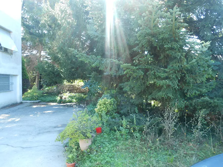 Immagine 29 di Villa in vendita  in Via per Chiatri a Lucca