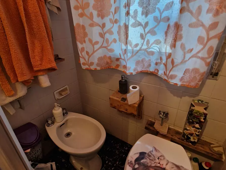 Immagine 21 di Pentalocale in vendita  in Via Fregionaia a Lucca