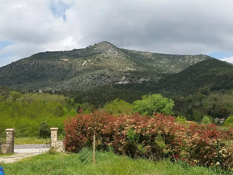 Immagine 3 di Showroom in affitto  in Giarinetto a Lucca