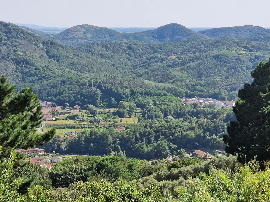 Immagine 72 di Rustico / casale in vendita  in Via Vecchia di Nozzano a Lucca