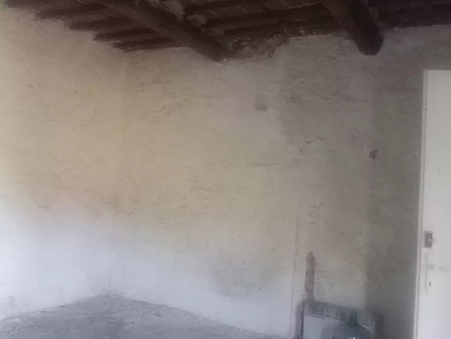 Immagine 5 di Rustico / casale in vendita  a Massarosa