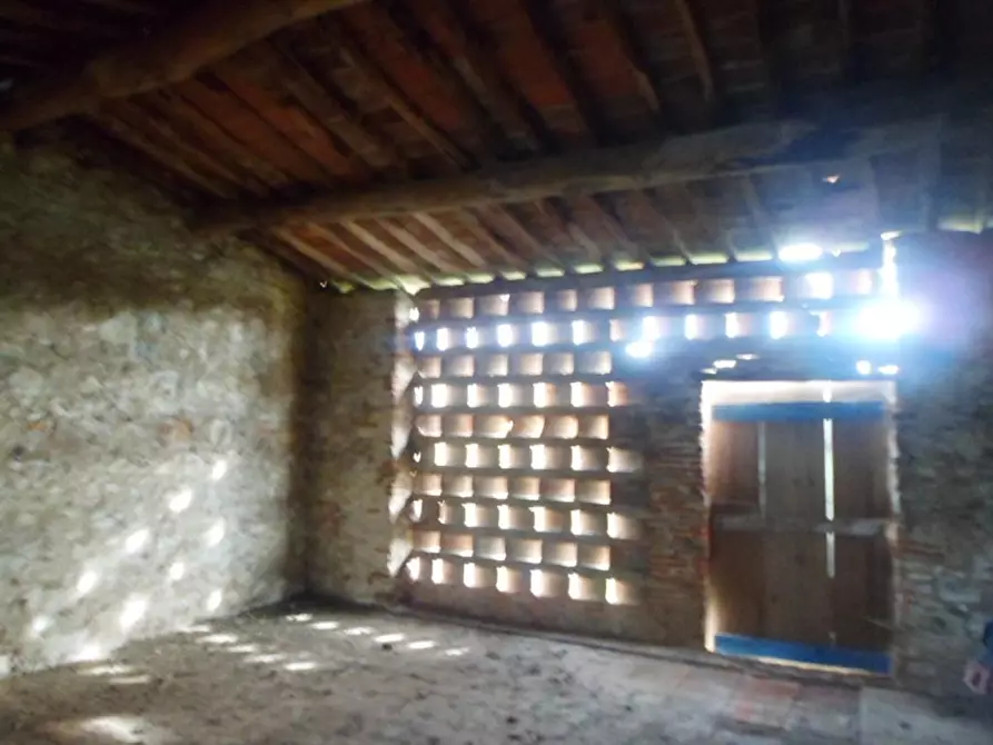 Immagine 5 di Rustico / casale in vendita  a Massarosa