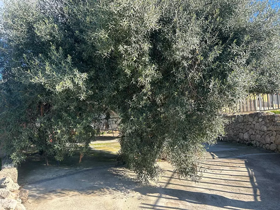 Immagine 11 di Terreno agricolo in vendita  a Siracusa