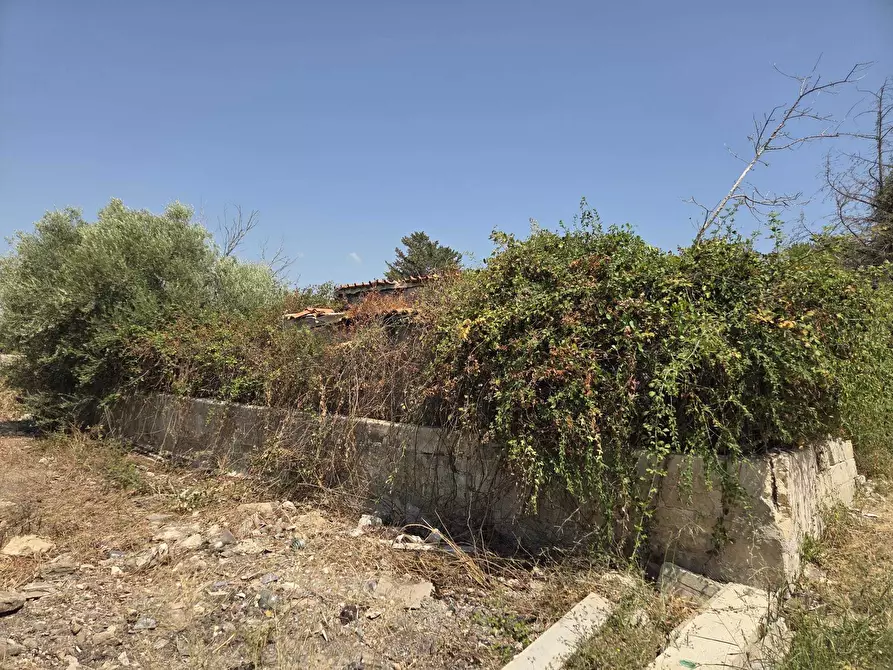 Immagine 4 di Terreno agricolo in vendita  a Siracusa