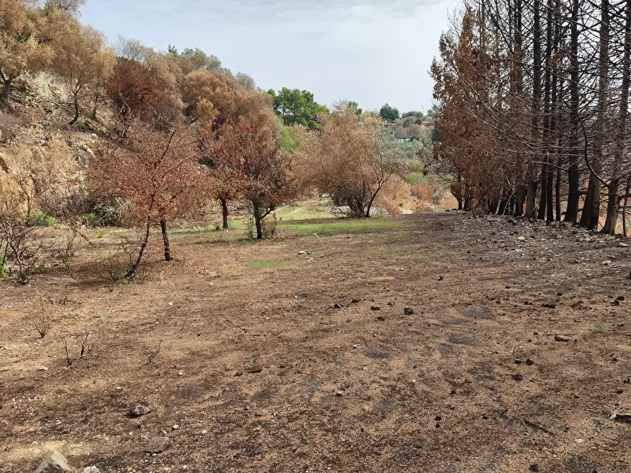 Immagine 8 di Terreno agricolo in vendita  a Melilli