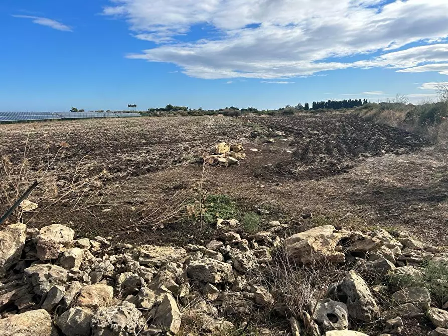 Immagine 7 di Terreno agricolo in vendita  a Siracusa