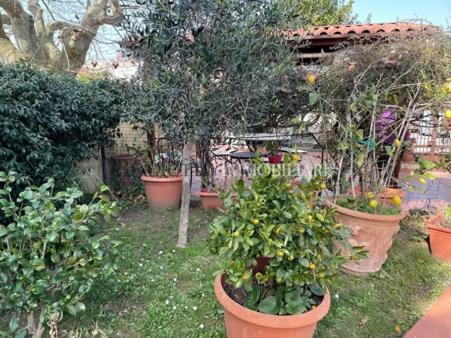 Immagine 7 di Casa semindipendente in vendita  a Livorno
