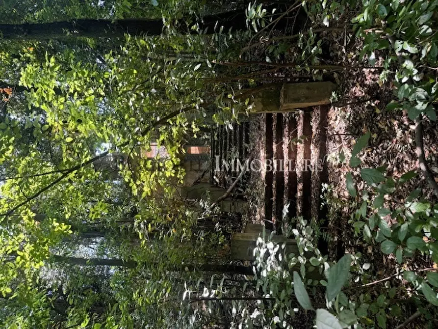 Immagine 16 di Rustico / casale in vendita  a Livorno