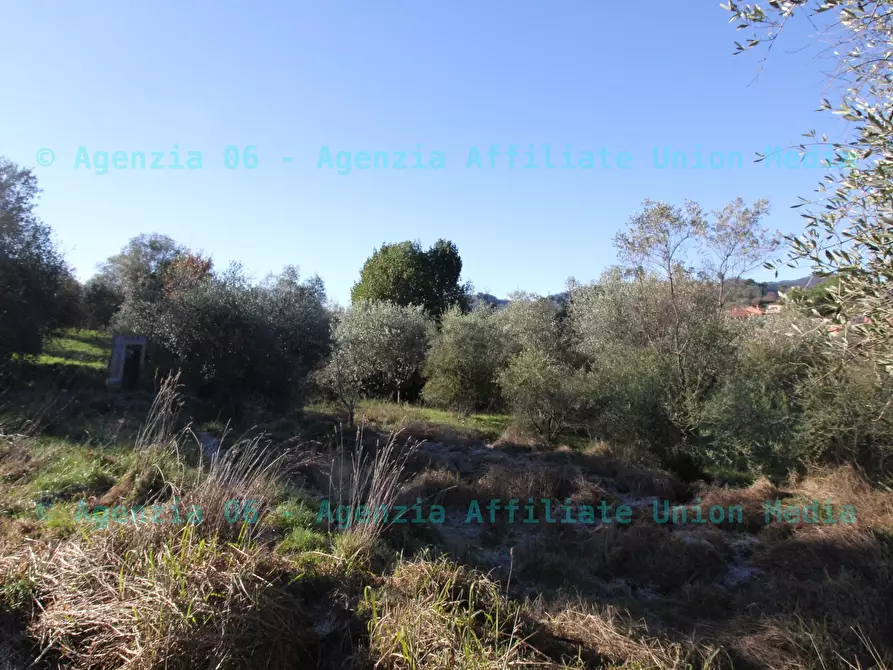 Immagine 14 di Terreno edificabile in vendita  a Bolano