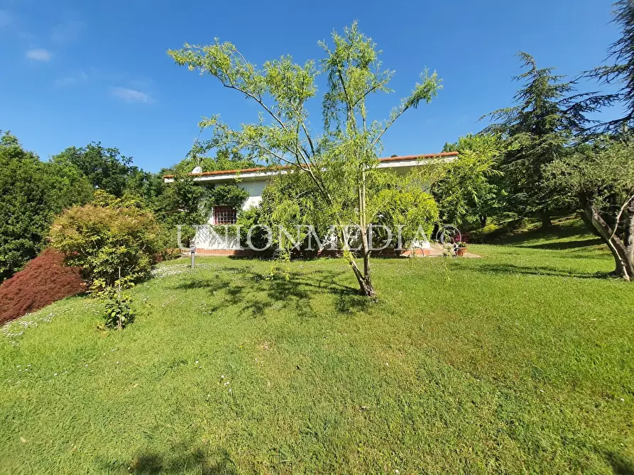 Immagine 5 di Villa in vendita  a Sarzana