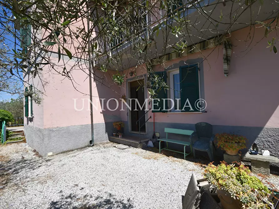Immagine 10 di Casa bifamiliare in vendita  in Via Paterno 4 a Sarzana