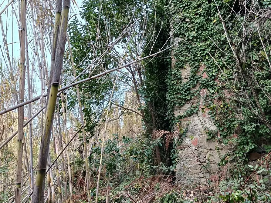 Immagine 7 di Casa indipendente in vendita  a Arcola