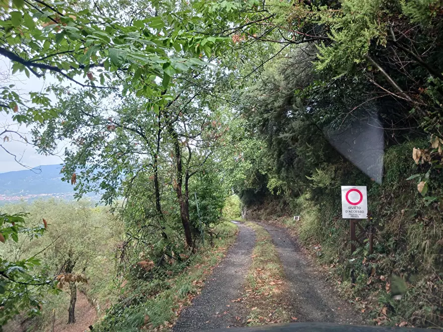 Immagine 52 di Casa indipendente in vendita  a Arcola