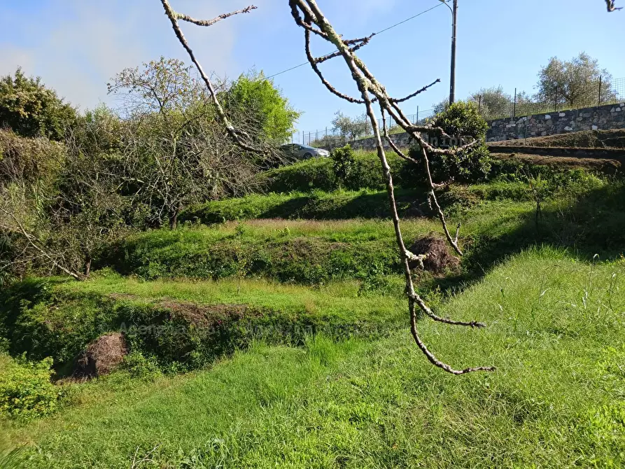 Immagine 7 di Rustico / casale in vendita  a Arcola