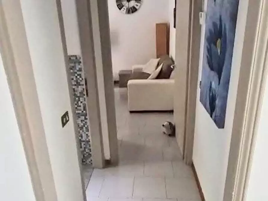 Immagine 7 di Appartamento in vendita  a Arcola