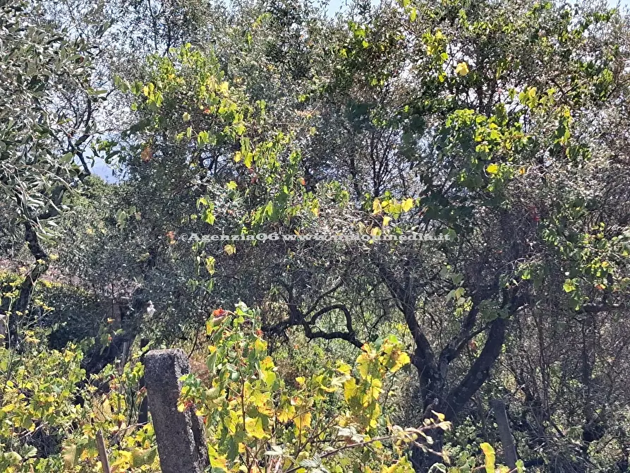 Immagine 8 di Rustico / casale in vendita  a Arcola