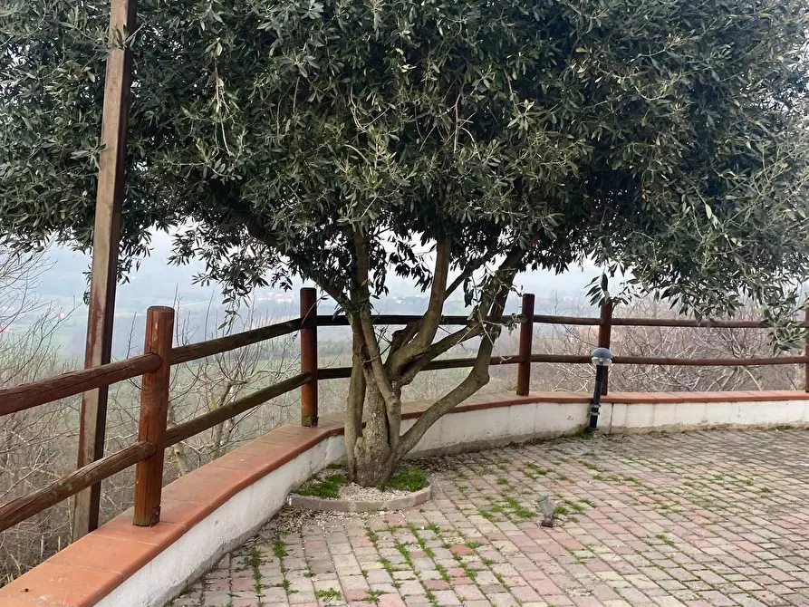 Immagine 17 di Villa in vendita  in Via Tomassini 18 a Borghi