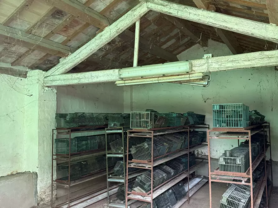 Immagine 17 di Rustico / casale in vendita  in Via Rubicone Sinistra 17 a Gatteo