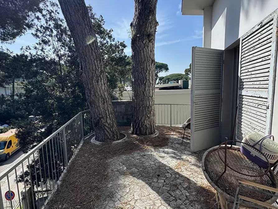Immagine 49 di Pentalocale in vendita  in Viale Romagna 25 a Cervia