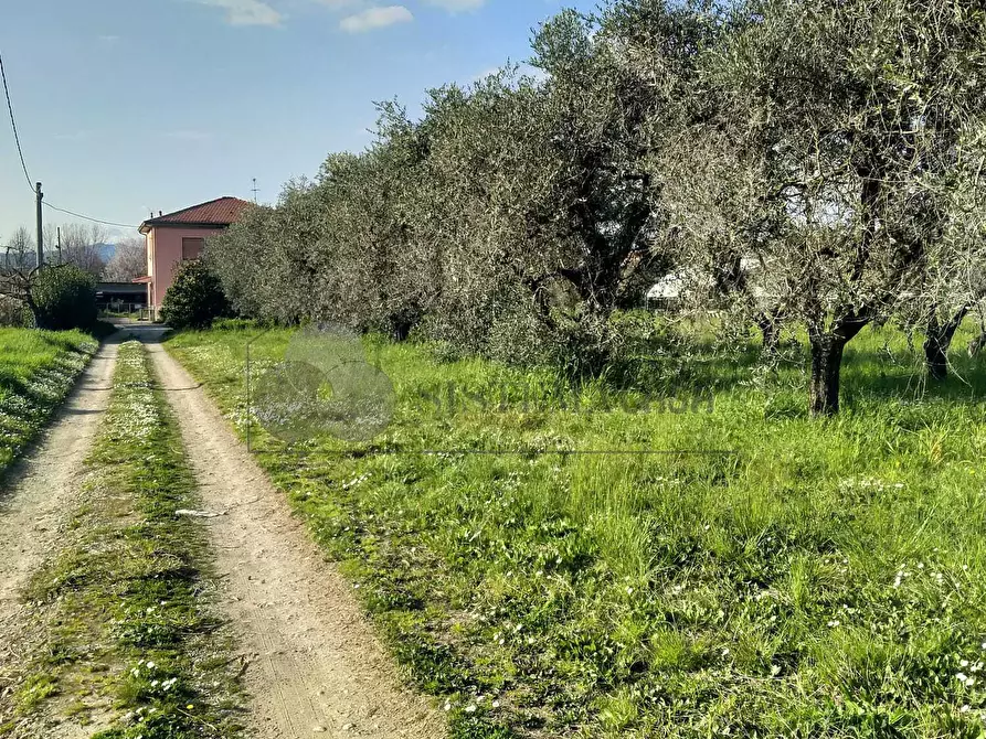 Immagine 1 di Casa indipendente in vendita  a Sarzana