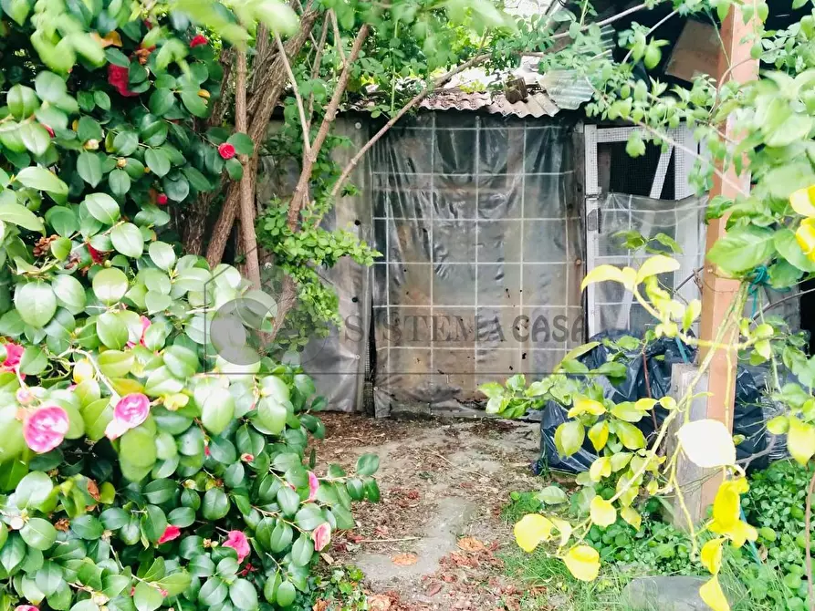 Immagine 12 di Porzione di casa in vendita  in Via della Crociata snc a Sarzana