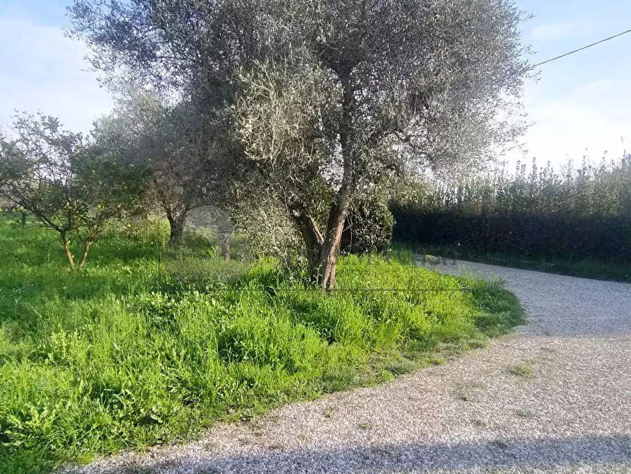 Immagine 6 di Casa indipendente in vendita  a Sarzana