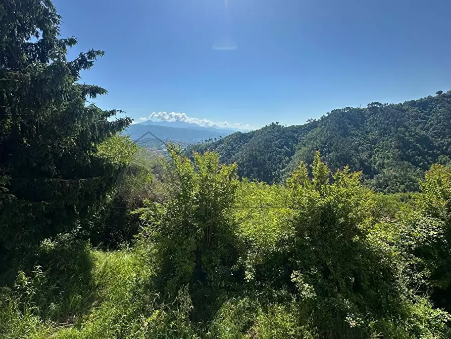 Immagine 26 di Casa indipendente in vendita  in Via San Lorenzo 20 a Follo