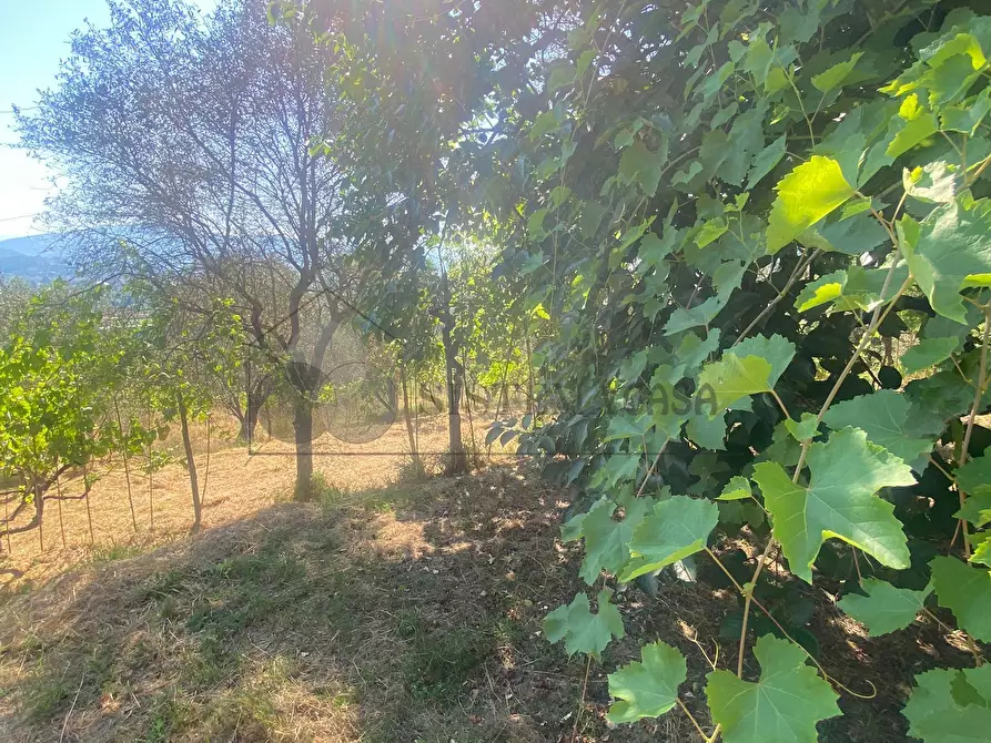 Immagine 43 di Casa indipendente in vendita  a Follo