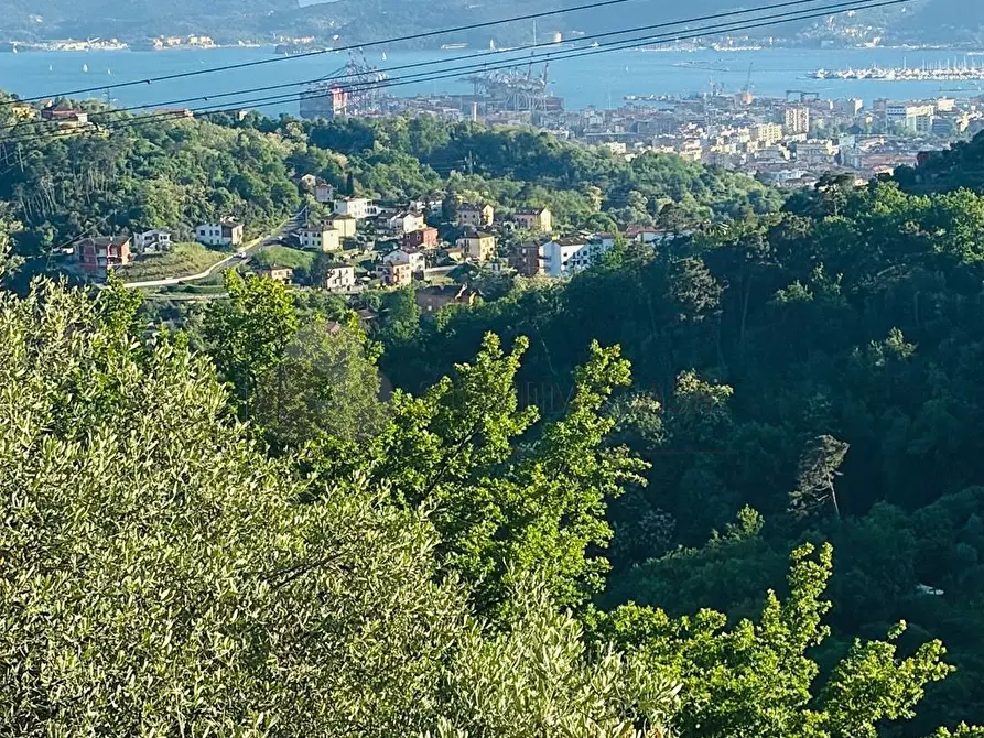 Immagine 8 di Villa in vendita  in Via Fratelli Aristide e Alduino Castellini 8 a Vezzano Ligure