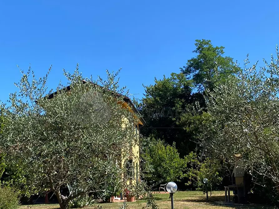 Immagine 55 di Villa in vendita  a Castelnuovo Magra