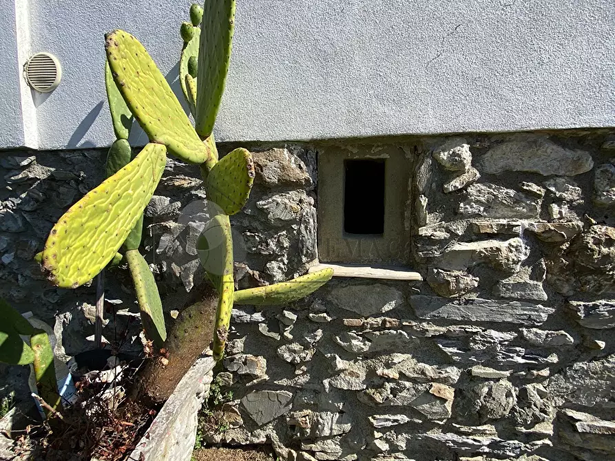 Immagine 29 di Porzione di casa in vendita  in via pegui 1 a Calice Al Cornoviglio